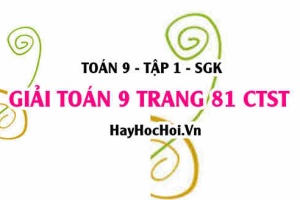 Giải Toán 9 trang 81 tập 1 Chân trời sáng tạo SGK